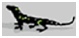 tarot.ideazunlimited.net.chameleon
